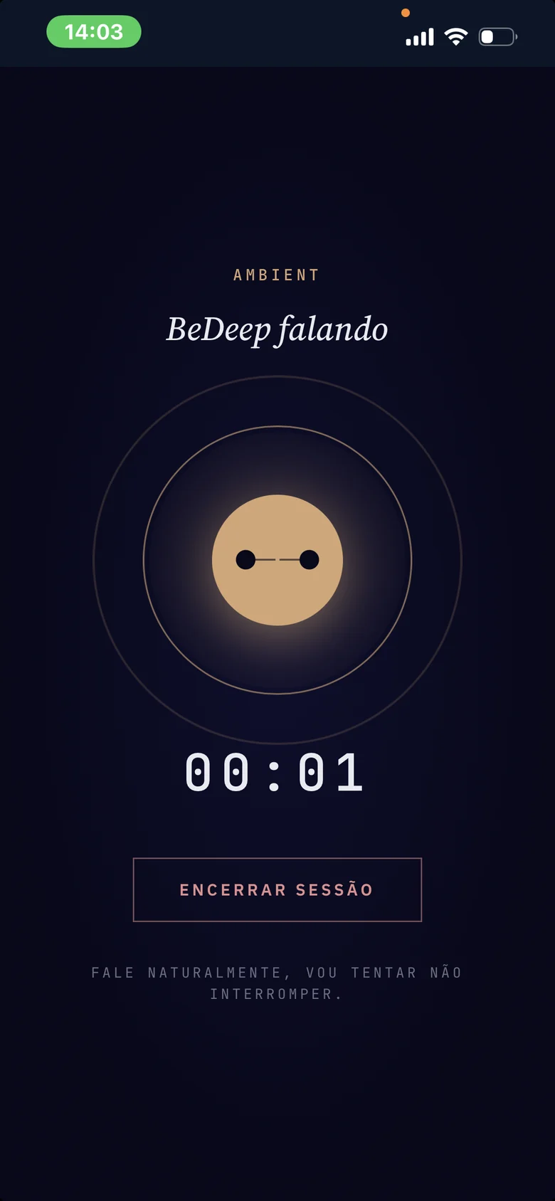 Uma sessão do AMBIENT em andamento